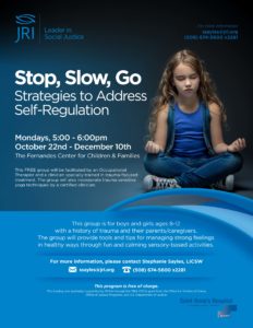 Stop, Slow, Go: Strategies to Address Self-Regulation @ Saint Anne's Hospital: The Fernandes Center for Children & Families | Fall River | Massachusetts | United States